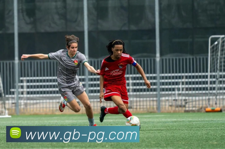 赛事专题整合